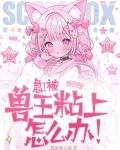 报告!你的毛茸茸来啦!
