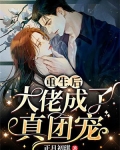 重生后大佬成了真团宠