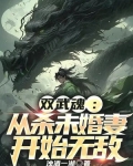 双武魂:从杀未婚妻开始无敌