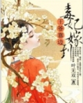 毒妃嫁到,王爷靠边
