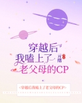 穿越后我磕了老父母的cptxt