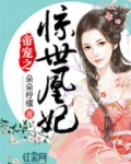 惊世凰妃