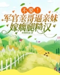 乖媳妇的意思