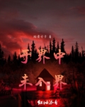 于界中,未入界