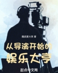 从导演开始的娱乐大亨
