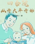 四合院:从开大车开始