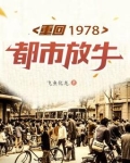 重回1978江帆