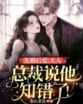 先婚后爱:夫人,总裁说他知错了!