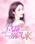 强宠1001夜:总裁别乱来