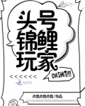 头号锦鲤玩家