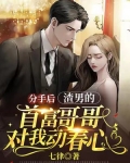 分手后,渣男的首富哥哥对我动春心