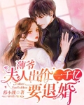 薄爷,夫人出价一千亿要退婚