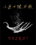 小道士陈不欺的最新章节更新内容