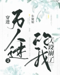 穿进万人迷文的我人设崩了