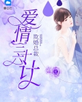 欺婚总裁:爱情三十六计