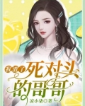我渣了死对头的哥哥小说免费阅读