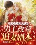 虐文女主摆烂后，男主改拿追妻剧本
