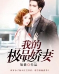 我的极品娇妻
