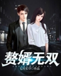 赘婿无双百度百科