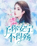 予你安宁不得殇