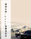 婚姻长跑：boss宠妻请签字