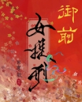御前女提刑小说