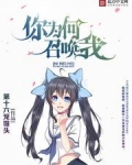 你为何召唤我TXT下载