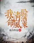 我命清风赊酒来怎么样