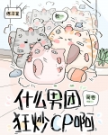 什么男团狂炒cp啊?