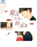 夏风不及你温柔