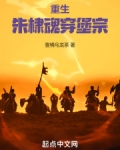 穿越大明朱棣