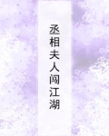 丞相夫人的小说