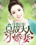 先婚后宠:总裁大人小娇妻