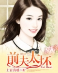 前夫太坏