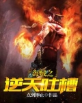 海贼之最强抽奖系统免费