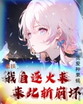 崩铁：我自逐火来，来此斩崩坏