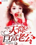 隐婚,天降巨富老公!
