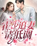 霍少追妻请低调