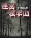 迷雾哀牢山小说