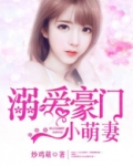 溺爱豪门小萌妻