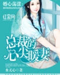 总裁的心尖暖妻