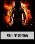 都市至尊归来苏衍