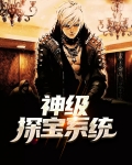 神奇宝贝之探宝系统