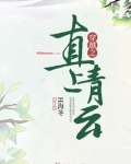 穿越之直上青云
