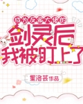 成为反派大佬的剑灵后我被盯上了