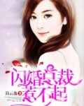 闪婚总裁惹不起