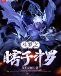 斗罗之瞎子斗罗 小说