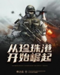 从珍珠港开始崛起笔趣阁