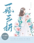 一婚三折