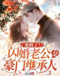 宠疯了闪婚老公是豪门继承人